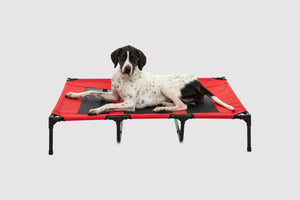Elevated Dog Bed With Tent - Red