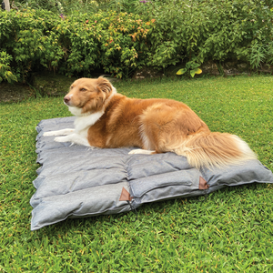 Camper Outdoor Padded Waterproof Dog Travel Mat - Grey