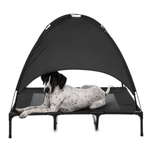 Elevated Dog Bed With Tent - Black