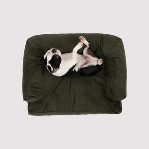 Ripley Corduroy Pet Sofa Bed - Green