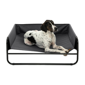 High Walled Outdoor Trampoline Pet Bed Cot - Black