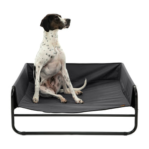 High Walled Outdoor Trampoline Pet Bed Cot - Black