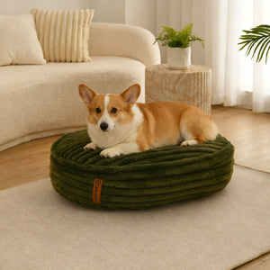 Cloud Crushed Foam Dog Bed Olive