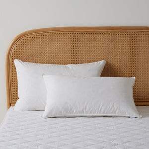 Goose Feather and Down Pillow Twin Pack - Standard
