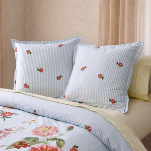 Lolita 300TC Cotton Sateen European Pillowcase Twin Pack Blue