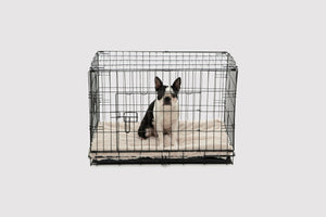 Essential Faux Fur Padded Pet Mattress and Crate Pad - Beige