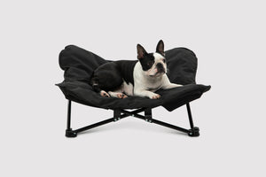 Butterfly Portable Folding Outdoor Pet Chair - Black