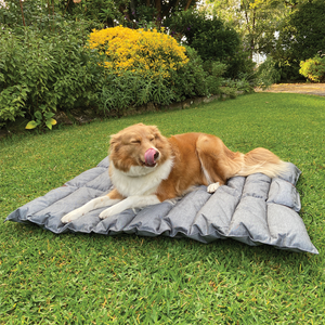 Camper Outdoor Padded Waterproof Dog Travel Mat - Grey