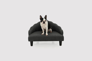 Crown Elevated Pet Sofa Bed - Charcoal