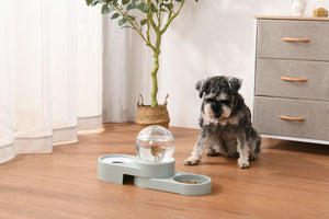 Bubble Automatic Water Dispenser with Food Bowl - Mint Blue