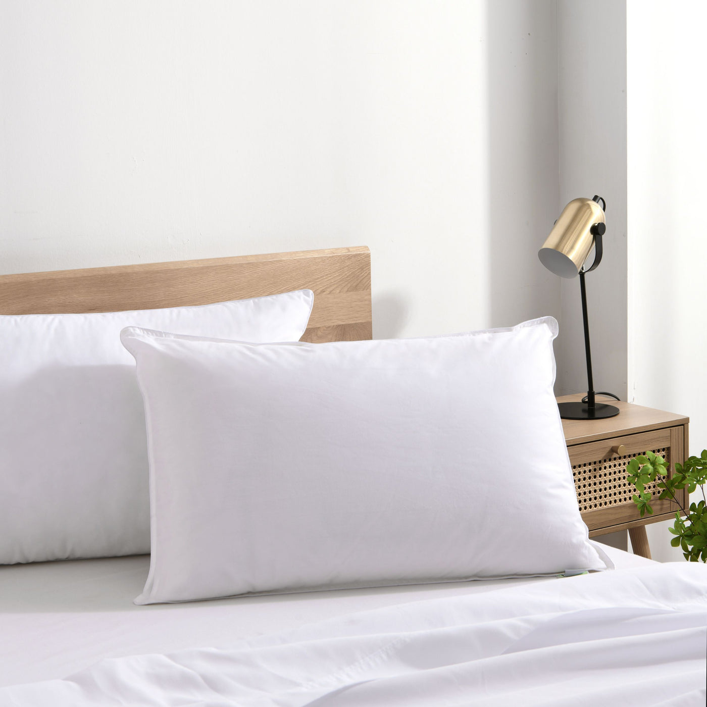Australian Wool Rich Pillow – DI Home